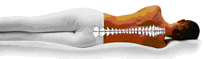 Proper mattress needed foe support: a good mattress keeps your spine straight during sleep