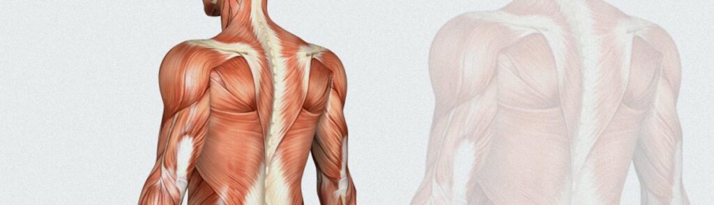 If you discontinue your care, your muscles, ligaments and joints maya suffer more