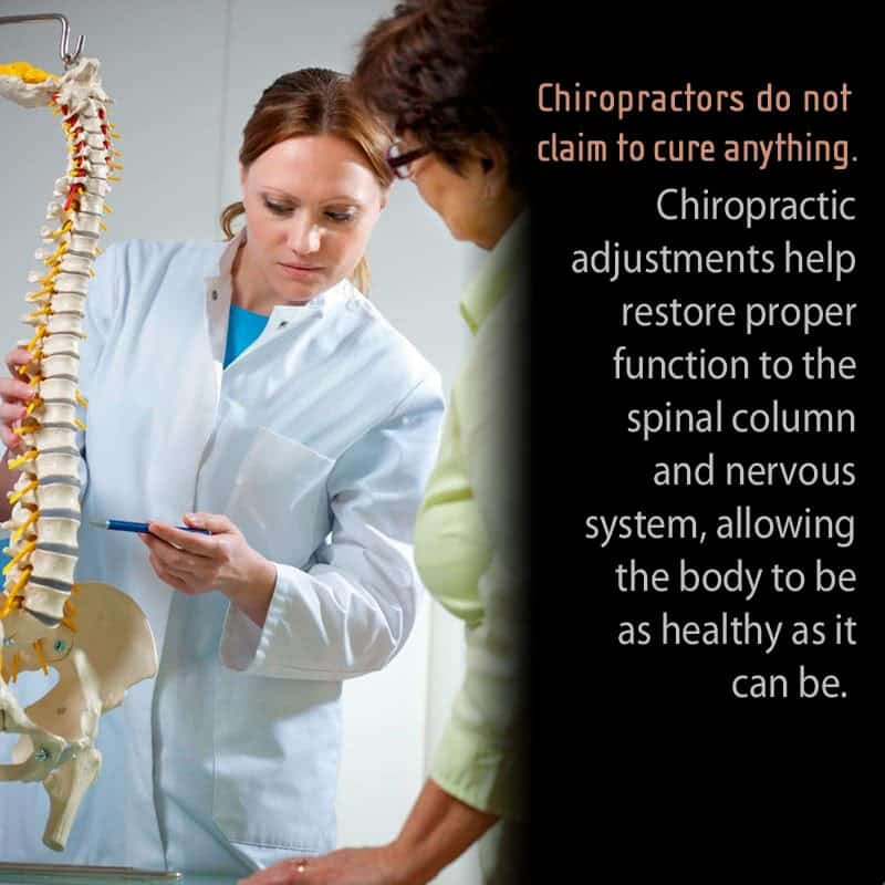 Female chiropractor discussing back pain with patient using spine model