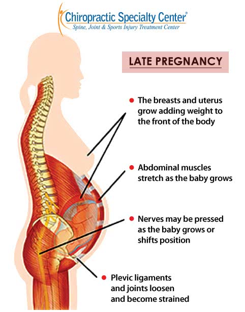 natural changes in pregnancy shown in infographic illustration