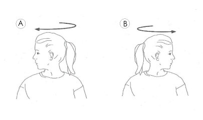 rotational neck exercises