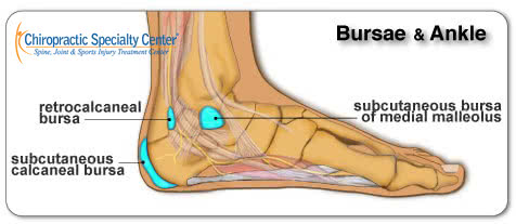 illustration of ankle anatomy