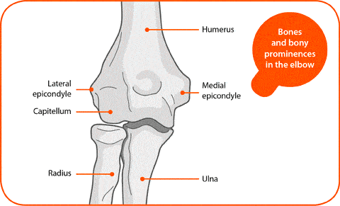 source of elbow pain in joint shown
