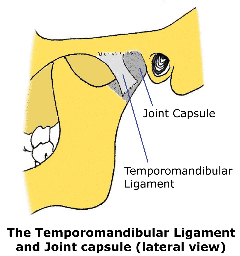 ligament involvement in jaw pain