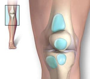bursae of knee joint