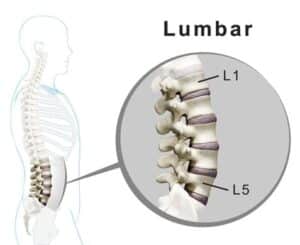 side view of the lumbar spine