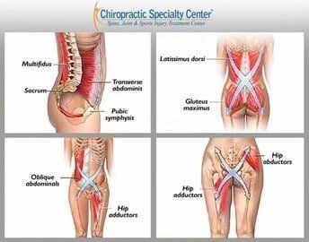 Role of core muscles on the spine illustrated