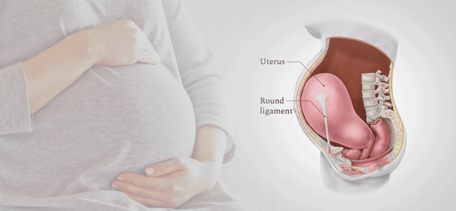 round ligament pregnancy anatomy uterus stability pelvic alignment chiropractic physiotherapy KL