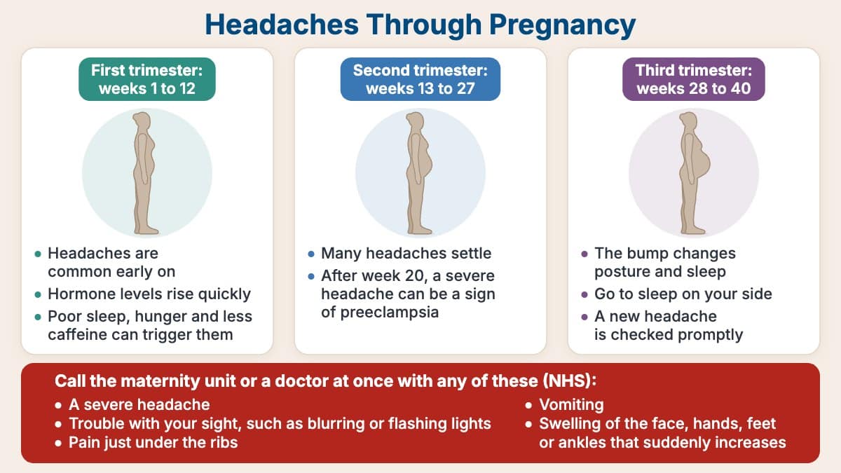 Read more about the article Pregnancy Headache by Trimester: Causes and When to Worry