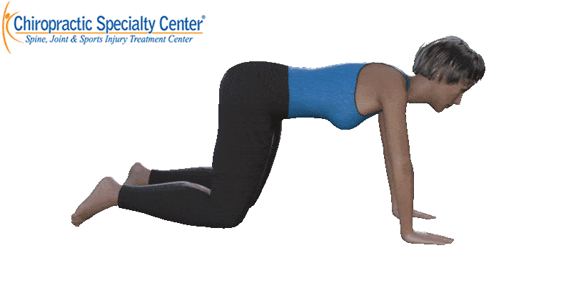 A 3D render of a pregnant woman performing cat and camel exercises.